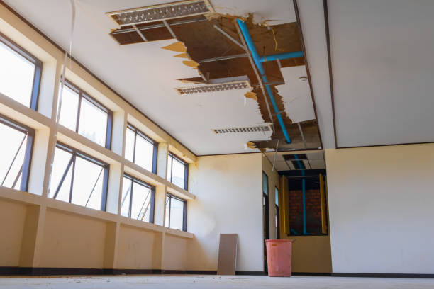 Best Water damage restoration near me  in Wilmerding, PA