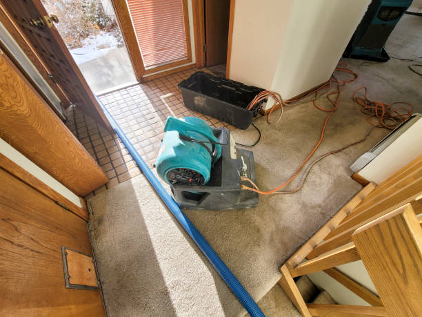 Best Emergency water damage restoration  in Wilmerding, PA