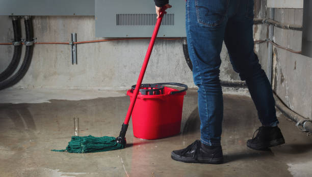 Best Commercial water damage restoration  in Wilmerding, PA