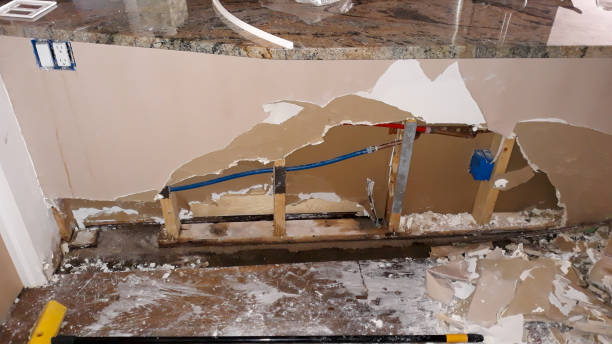 Best Water damage restoration process  in Wilmerding, PA
