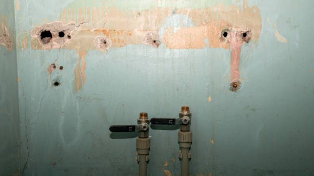 Best Flood restoration services  in Wilmerding, PA