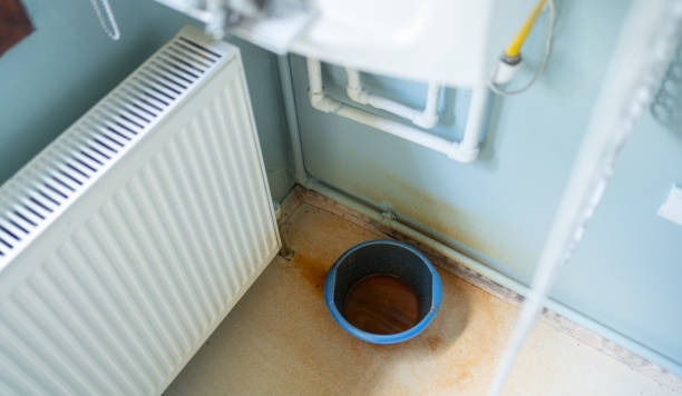 Best Emergency water extraction  in Wilmerding, PA
