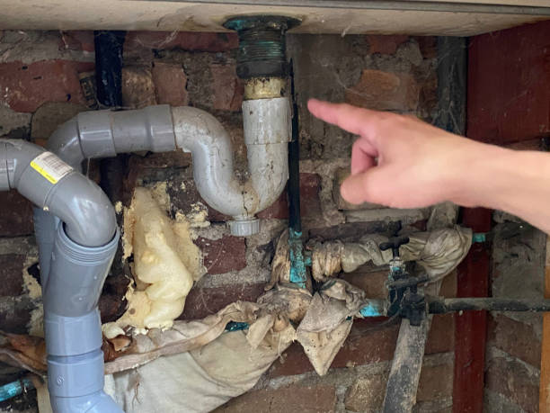 Carpet water damage restoration in Wilmerding, PA