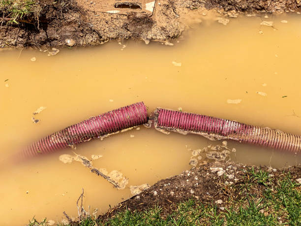 Local water damage restoration in Wilmerding, PA
